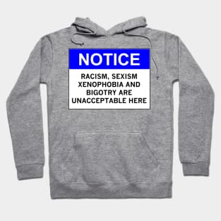 RACISM, SEXISM, XENOPHOBIA AND BIGOTRY ARE UNACCEPTABLE HERE Hoodie